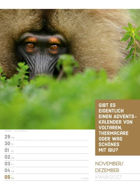 Produktbild: Tierisch Spr&uuml;chekalender Wochenplaner 2027