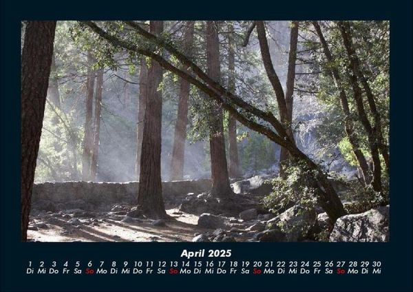 Produktbild: Waldzauber 2025 Fotokalender DIN A4