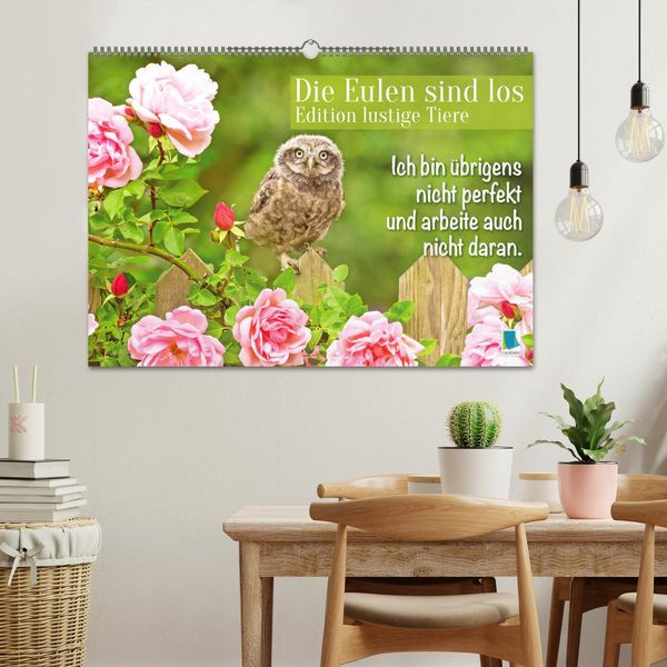 Produktbild: Die Eulen sind los: Edition lustige Tiere (Wandkalender 2026 DIN A2 quer), CALVENDO Monatskalender