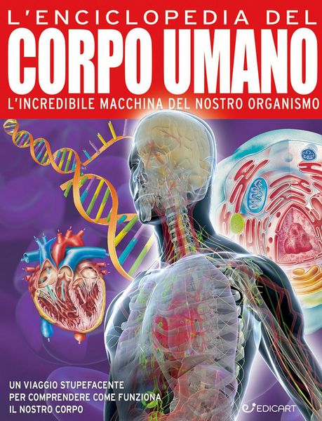 Produktbild: L' enciclopedia del corpo umano
