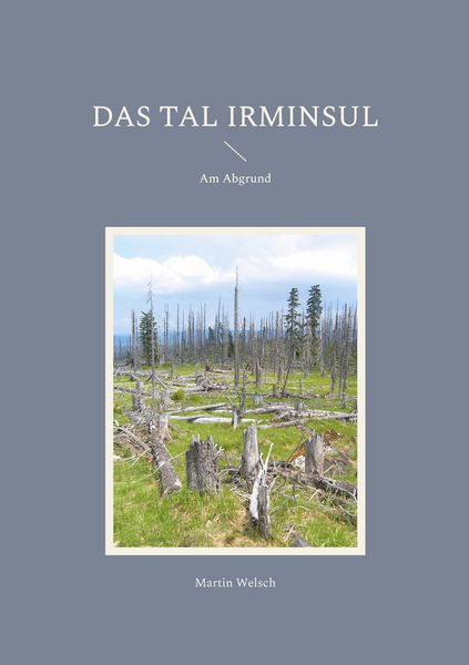 Produktbild: Das Tal Irminsul