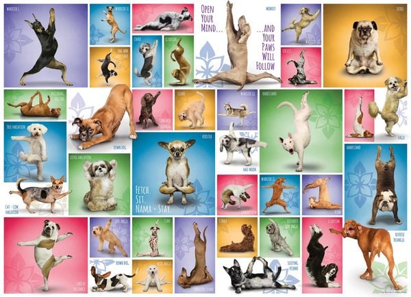 Produktbild: Puzzle 1000 Teile - Yoga Dogs