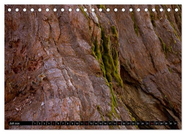 Produktbild: Yosemite - USA (Tischkalender 2026 DIN A5 quer), CALVENDO Monatskalender