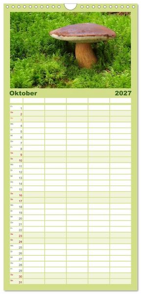Produktbild: Familienplaner 2027 - Pilzkalender mit 5 Spalten (Wandkalender, 21 x 45 cm) CALVENDO