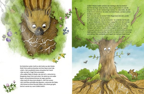 Produktbild: Wie fühlt der Wald?