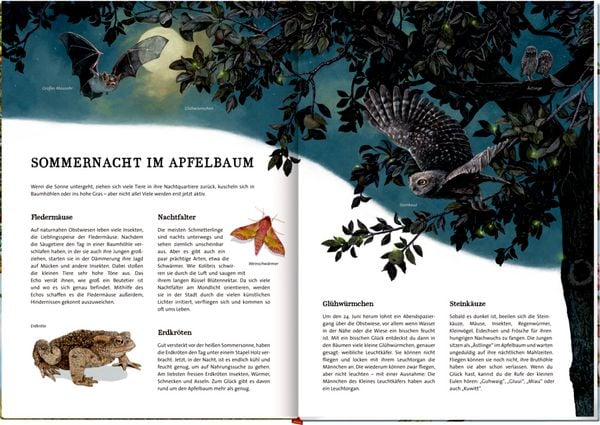 Produktbild: Das gro&szlig;e Buch vom Apfelbaum