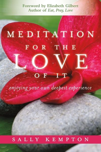 Produktbild: Meditation for the Love of It