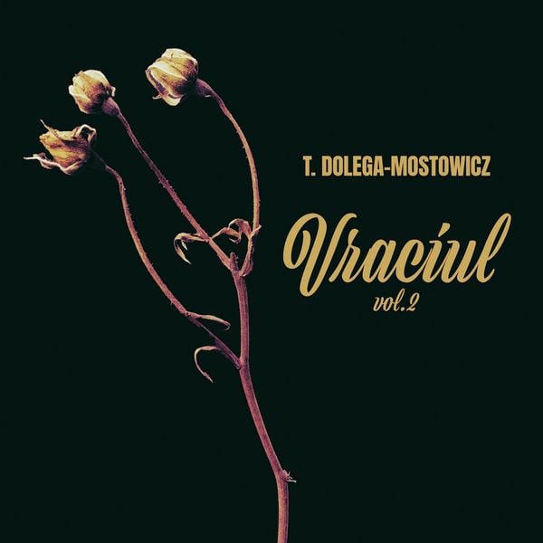Vraciul, vol. 2 - Tadeusz Dolega-Mostowicz, Audio, 9789180436694