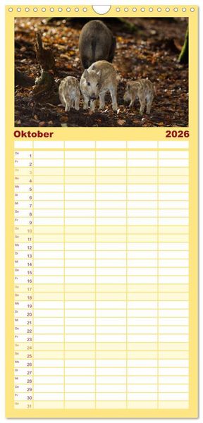 Produktbild: Familienplaner 2026 - Tierbabys 2026 mit 5 Spalten (Wandkalender, 21 x 45 cm) CALVENDO