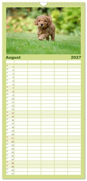 Produktbild: Familienplaner 2027 - Pudel mit 5 Spalten (Wandkalender, 21 x 45 cm) CALVENDO