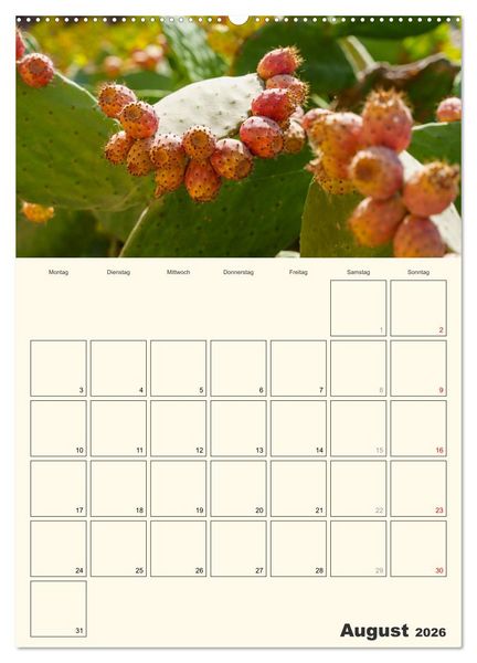 Produktbild: Obst Kalender - GESUND DURCH DAS JAHR (hochwertiger Premium Wandkalender 2026 DIN A2 hoch), Kunstdruck in Hochglanz