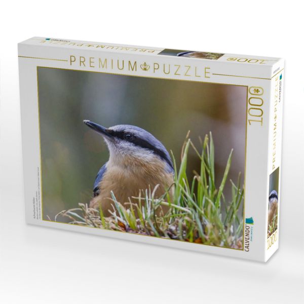 Produktbild: CALVENDO Puzzle Aufmerksamer Kleiber | 1000 Teile Lege-Gr&ouml;&szlig;e 64x48cm Foto-Puzzle f&uuml;r gl&uuml;ckliche Stunden