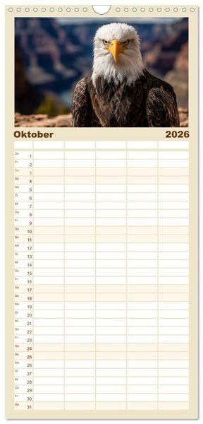 Produktbild: Familienplaner 2026 - Majest&auml;tische Wei&szlig;kopfseeadler - Der K&ouml;nig der L&uuml;fte mit 5 Spalten (Wandkalender, 21 x 45 cm) CALVENDO