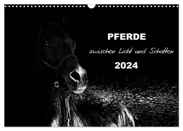 Pferde zwischen Licht und Schatten (Wandkalender 2024 DIN A3 quer), CALVENDO Monatskalender