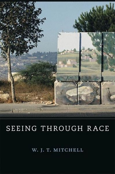 Produktbild: Mitchell, W: Seeing Through Race