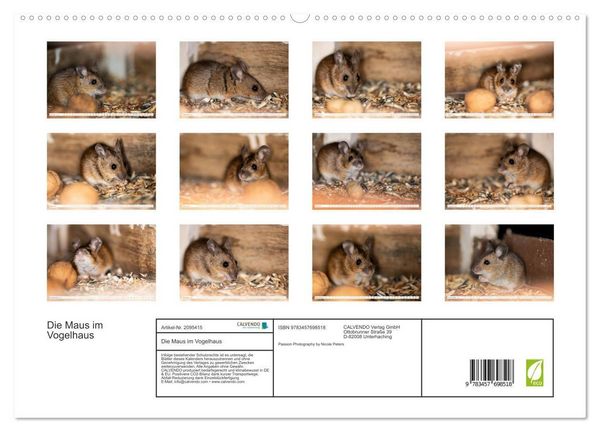 Produktbild: Die Maus im Vogelhaus (hochwertiger Premium Wandkalender 2026 DIN A2 quer), Kunstdruck in Hochglanz
