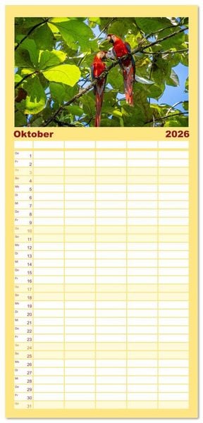 Produktbild: Familienplaner 2026 - Phantastische Vogelwelt Costa Rica mit 5 Spalten (Wandkalender, 21 x 45 cm) CALVENDO