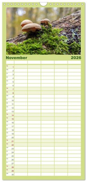 Produktbild: Familienplaner 2026 - Pilze in den Herbstw&auml;ldern mit 5 Spalten (Wandkalender, 21 x 45 cm) CALVENDO
