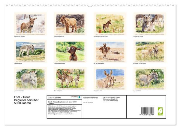 Produktbild: Esel - Treue Begleiter seit &uuml;ber 5000 Jahren (hochwertiger Premium Wandkalender 2027 DIN A2 quer), Kunstdruck in Hochglanz