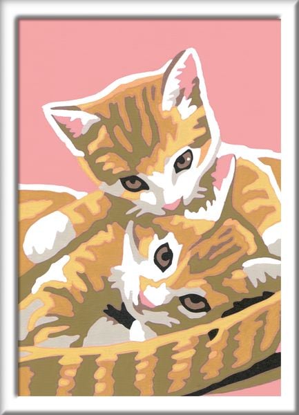 Produktbild: Ravensburger Malen nach Zahlen, Katzenbabys