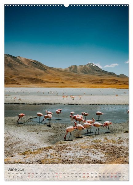 Produktbild: Longing for Travel (Wall Calendar 2026 DIN A2 portrait), CALVENDO 12 Month Wall Calendar