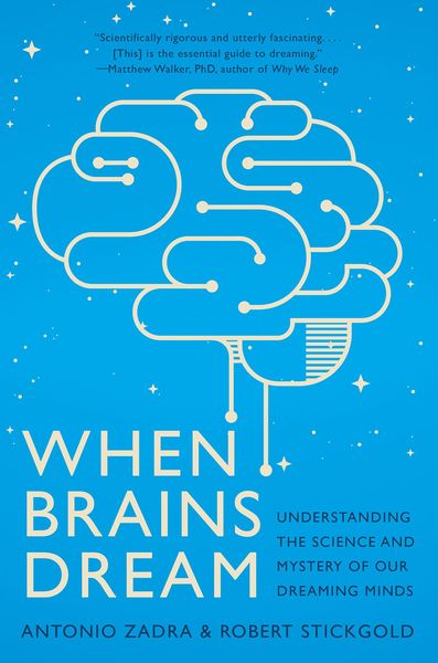 Produktbild: When Brains Dream: Understanding the Science and Mystery of Our Dreaming Minds