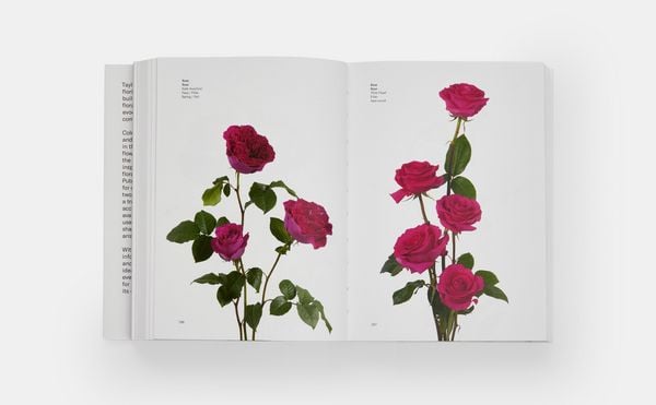 Produktbild: Flower Colour Guide