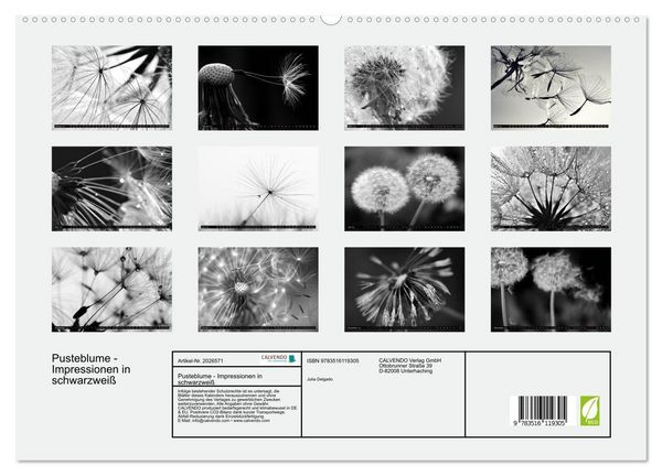 Produktbild: Pusteblume - Impressionen in schwarzwei&szlig; (hochwertiger Premium Wandkalender 2026 DIN A2 quer), Kunstdruck in Hochglanz