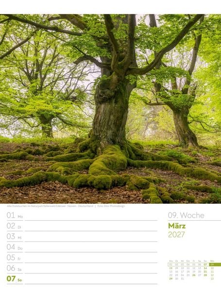 Produktbild: Unser Wald Wochenplaner Kalender 2027