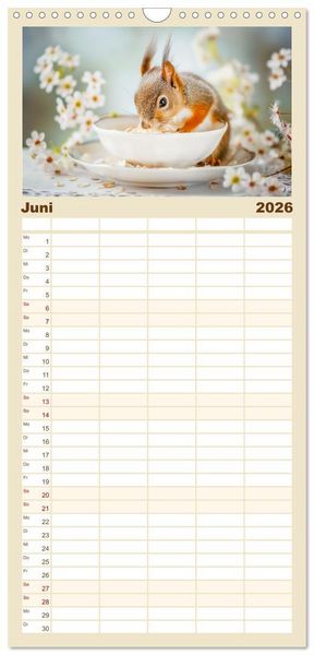 Produktbild: Familienplaner 2026 - Lustige Eichh&ouml;rnchen mit 5 Spalten (Wandkalender, 21 x 45 cm) CALVENDO