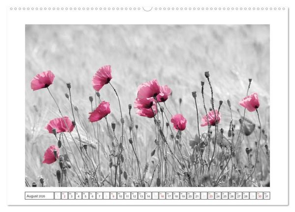 Produktbild: Natur schwarz - wei&szlig; Malerei (hochwertiger Premium Wandkalender 2026 DIN A2 quer), Kunstdruck in Hochglanz