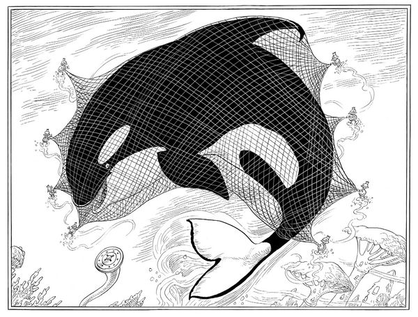 Produktbild: A Mermaid's Rescue