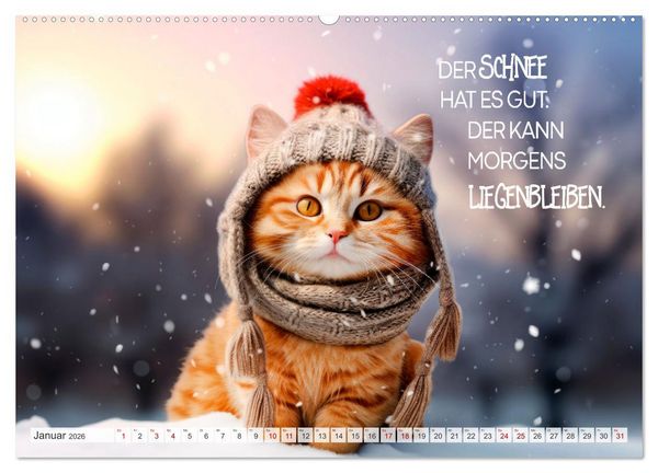 Produktbild: S&uuml;&szlig;e Katzen und coole Spr&uuml;che (Wandkalender 2026 DIN A2 quer), CALVENDO Monatskalender