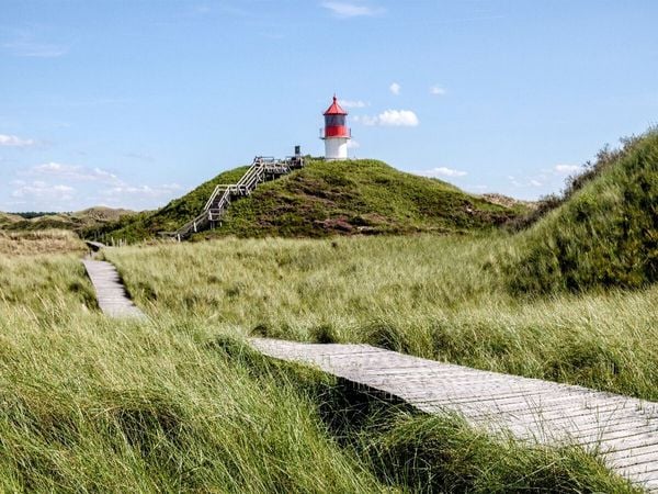 Produktbild: CALVENDO Puzzle Amrum: Natur und Freiheit | 1000 Teile Lege-Gr&ouml;&szlig;e 64x48cm Foto-Puzzle f&uuml;r gl&uuml;ckliche Stunden