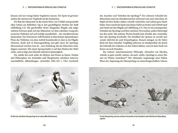 Produktbild: Der Spatz