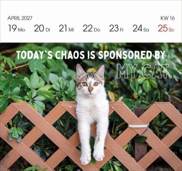 Produktbild: Katzen 2027