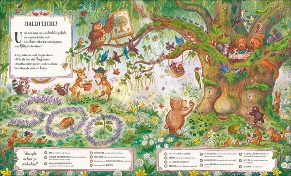 Produktbild: Wer feiert da im tiefen Wald?