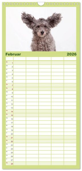Produktbild: Familienplaner 2026 - SCHLAPPOHREN mit 5 Spalten (Wandkalender, 21 x 45 cm) CALVENDO