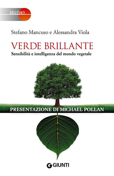 Produktbild: Verde brillante. Sensibilit&agrave; e intelligenza del mondo vegetale