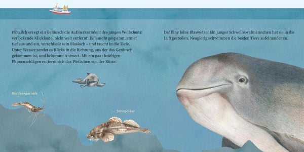 Produktbild: LESEMAUS 135: Der kleine Wal und das Meer
