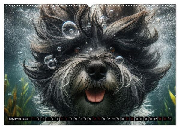 Produktbild: Badespa&szlig; - Hunde unter Wasser (hochwertiger Premium Wandkalender 2026 DIN A2 quer), Kunstdruck in Hochglanz
