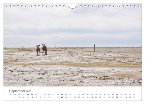 Produktbild: Nordfriesland (Wandkalender 2026 DIN A4 quer), CALVENDO Monatskalender