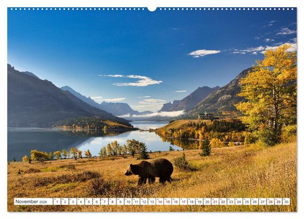 Produktbild: KANADA - Die B&auml;ren der Rocky Mountains (hochwertiger Premium Wandkalender 2026 DIN A2 quer), Kunstdruck in Hochglanz