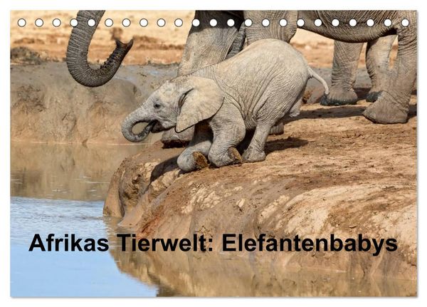 Produktbild: Afrikas Tierwelt: Elefantenbabys (Tischkalender 2026 DIN A5 quer), CALVENDO Monatskalender