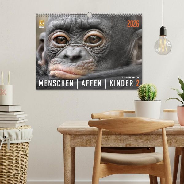 Produktbild: MENSCHENAFFENKINDER 2 (Wandkalender 2026 DIN A3 quer), CALVENDO Monatskalender