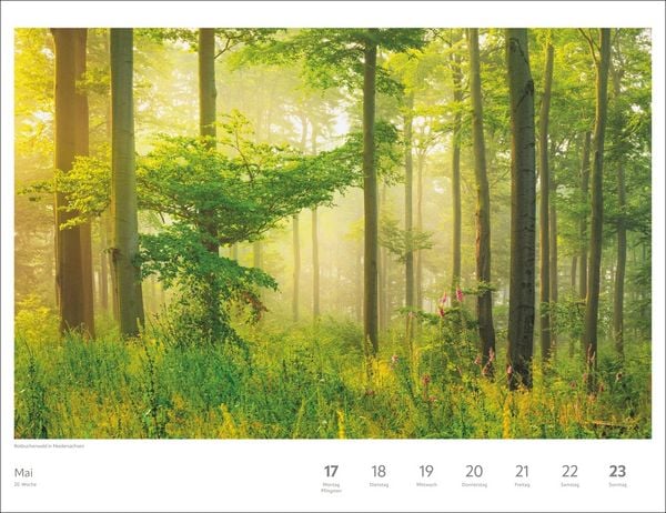 Produktbild: Zauber der Jahreszeiten Gro&szlig;er Wochenkalender 2027 - Jede Woche ein neues Bild
