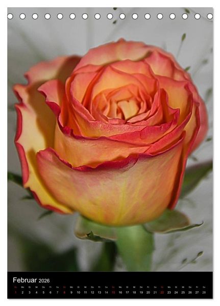 Produktbild: Zauberhafte Rosen (Tischkalender 2026 DIN A5 hoch), CALVENDO Monatskalender