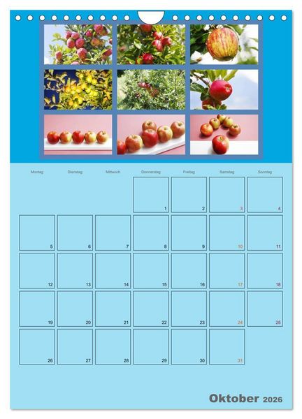 Produktbild: Food (Wandkalender 2026 DIN A4 hoch), CALVENDO Monatskalender