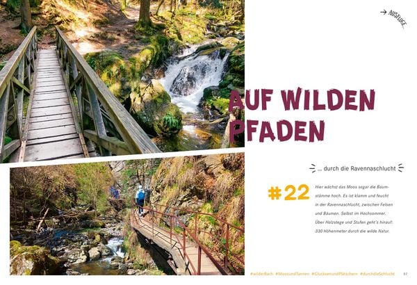 Produktbild: 52 kleine & gro&szlig;e Eskapaden im Schwarzwald