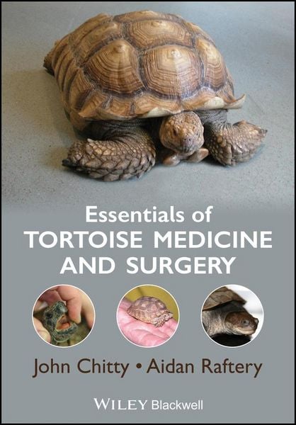 Produktbild: Essentials of Tortoise Medicine and Surgery